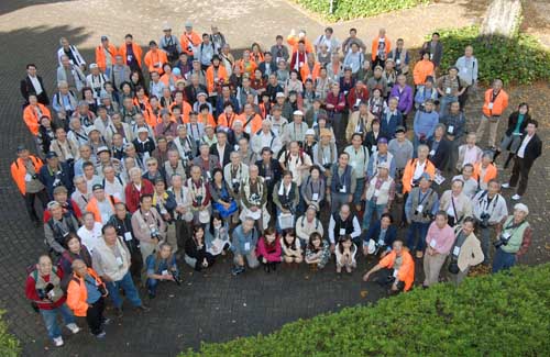 ���f���B�e���