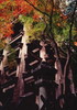 2005年01月月例会自由入選「清水寺」中村睦江