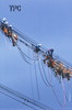2006年08月読者のﾆｭｰｽ写真入選「送電線事故昼夜の作業」関口広吉