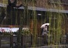 2012年04月月例会自由奨励賞「春雨」飯塚勇