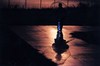 2012年ｽﾞｰﾗｼｱスナップ入選「シルエット」滝沢由紀夫