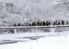 2013年06月月例会自由奨励賞「深雪」渡辺いくの