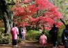 2014年01月月例会スナップ入選「紅葉狩り」長坂弘