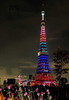 2014東日本YPC連合展「五輪色の東京タワー」飯田芳正