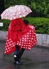 2014年06月月例会スナップ入選「ママのレインファッション」野沢幸子